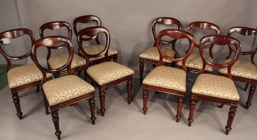 A Set of 10 Victorian Mahogany Balloon Back Dining Chairs