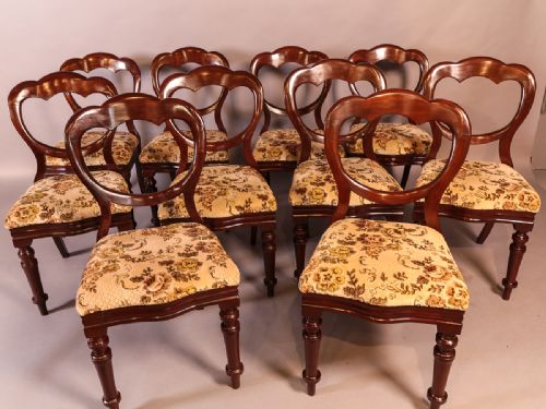 A Good Set of 10 Victorian Mahogany Balloon Back Dining Chairs