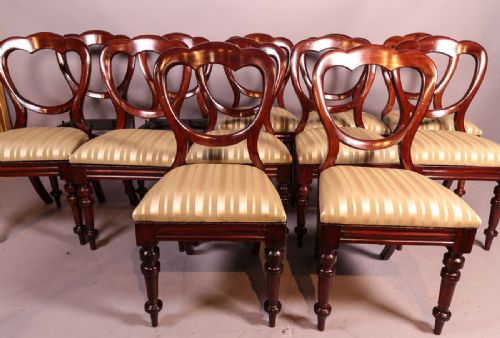 A Set of 12 Victorian Mahogany Balloon Back Dining Chairs