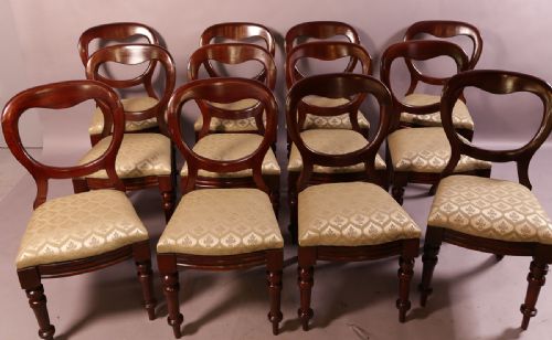 A Set of 12 Victorian Mahogany Balloon Back Dining Chairs