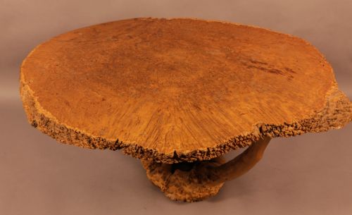 Very Unusual Coffee Table Amboyner Wood Tree Trunk