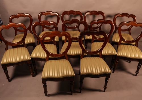 A Good Set of 12 Victorian Mahogany Balloon Back Dining Chairs