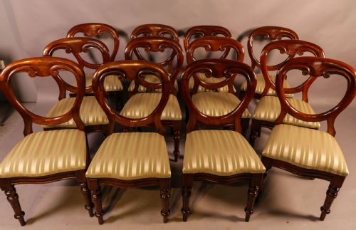 A Set of 12 Victorian Mahogany Balloon Back Dining Chairs