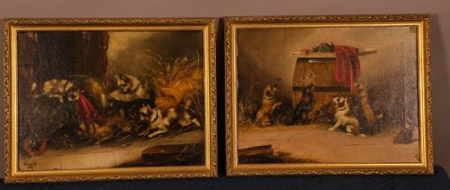 A Lovely Pair of Terrier Oil Painings Signed
