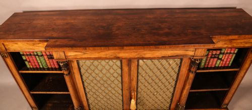 REGENCY PERIOD LOW BOOKCASE IN ROSEWOOD - ADDITIONAL PHOTO 11