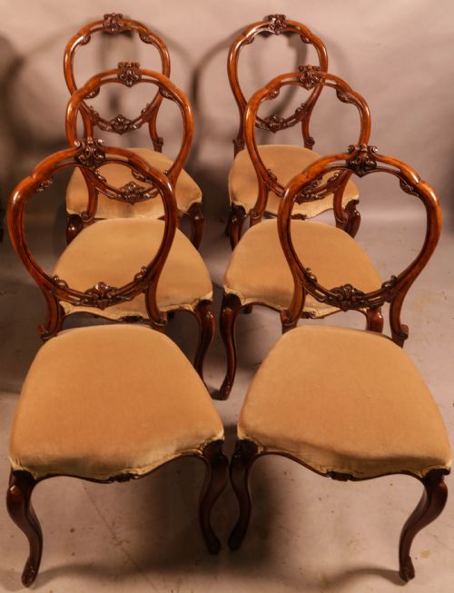 a good set of 6 victorian dining chairs in walnut - CATEGORY: ANTIQUE CHAIRS - DATED VICTORIAN