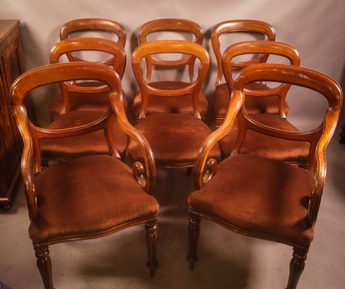 a rare set of 8 victorian dining chairs 2 carvers - CATEGORY: ANTIQUE CHAIRS - DATED VICTORIAN