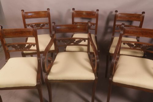 A SUPERB SET OF 8 REGENCY DINING CHAIRS SABRE LEG - ADDITIONAL PHOTO 2