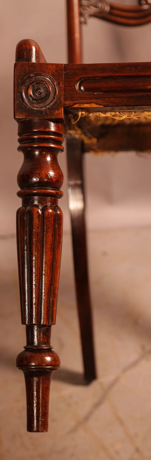 A SUPER SET OF 6 REGENCY DINING CHAIRS IN ROSEWOOD - ADDITIONAL PHOTO 10