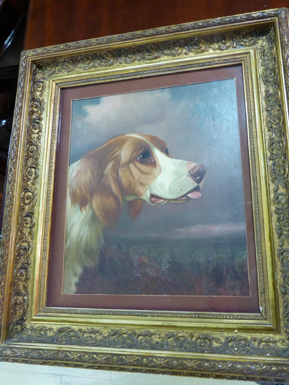 Oil Painting Colin Graham Setter Dog Superb
