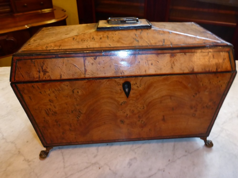 Antique Georgian Burr Elm Tea Caddy