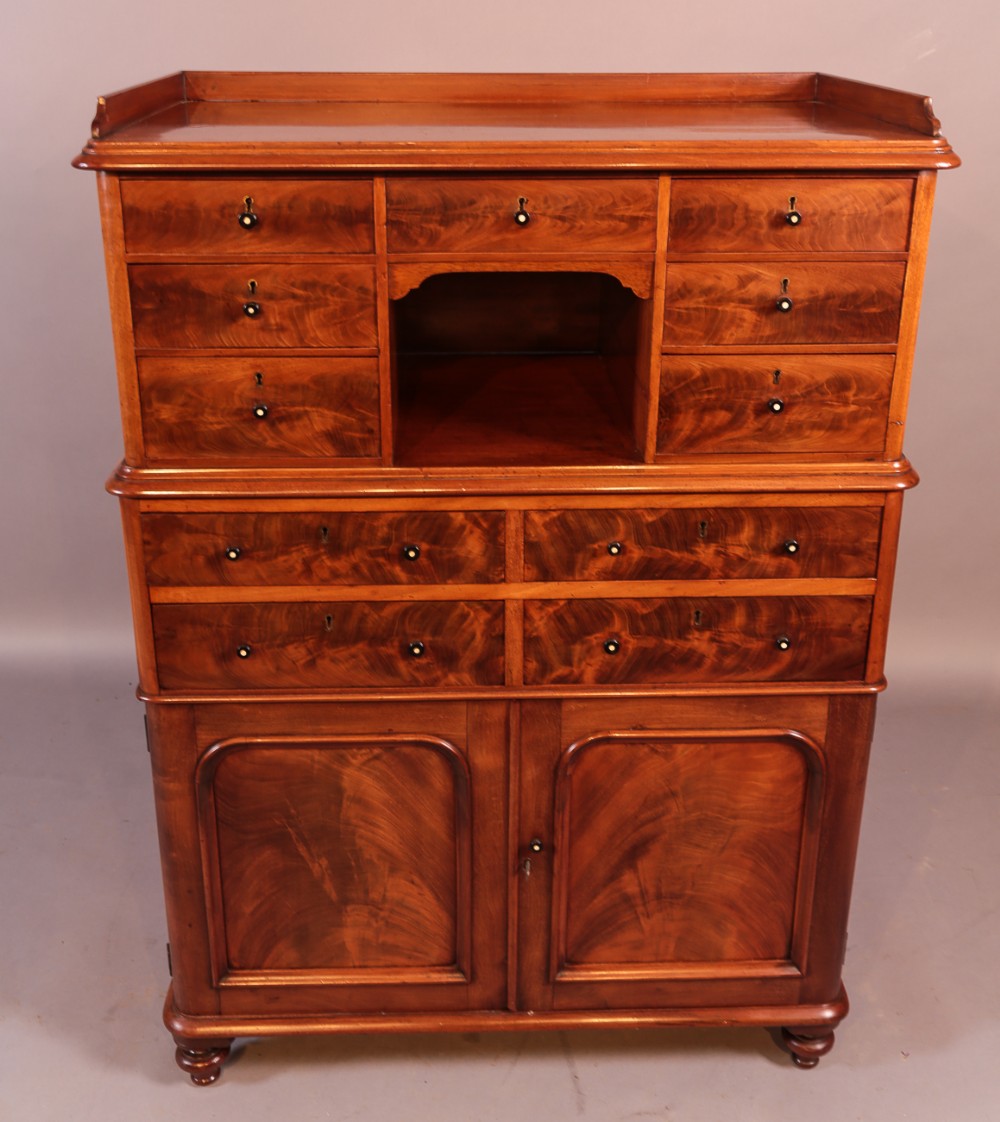 Unusual Victorian Mahogany Collectors Cabinet