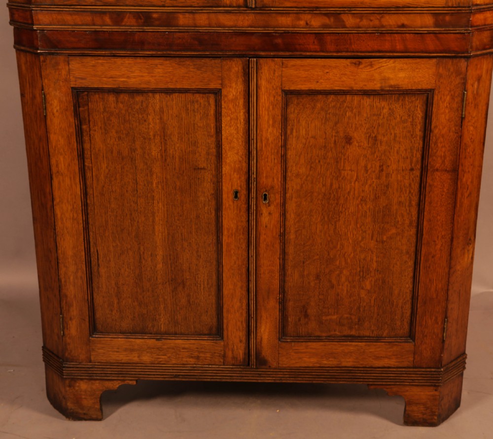 Georgian Full height Corner Cabinet in Oak View II