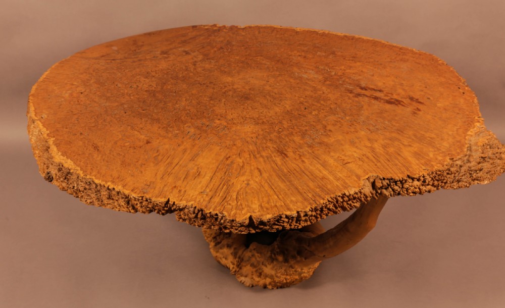 Very Unusual Coffee Table Amboyner Wood Tree Trunk