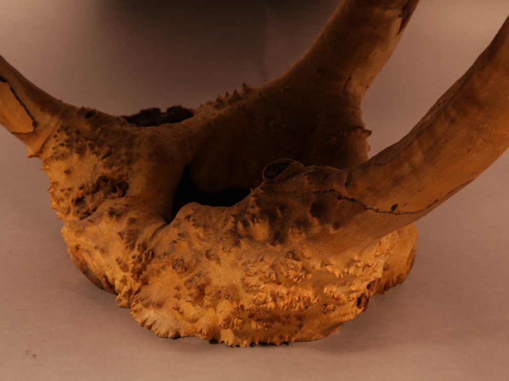 Very Unusual Coffee Table Amboyner Wood Tree Trunk View III