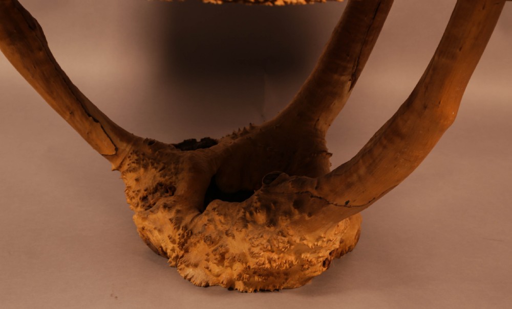 Very Unusual Coffee Table Amboyner Wood Tree Trunk View IV