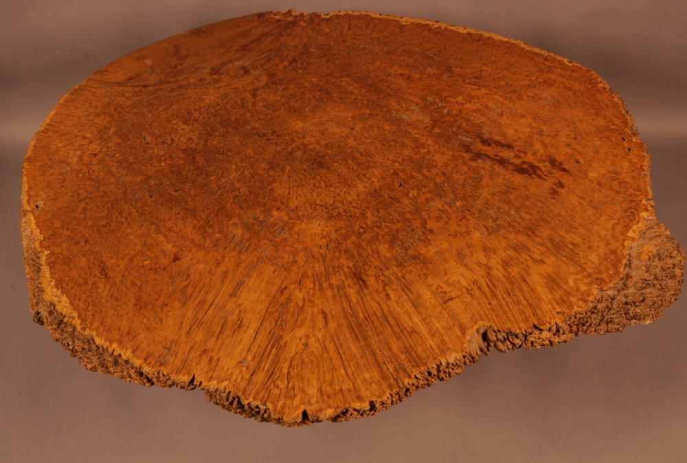 Very Unusual Coffee Table Amboyner Wood Tree Trunk View V