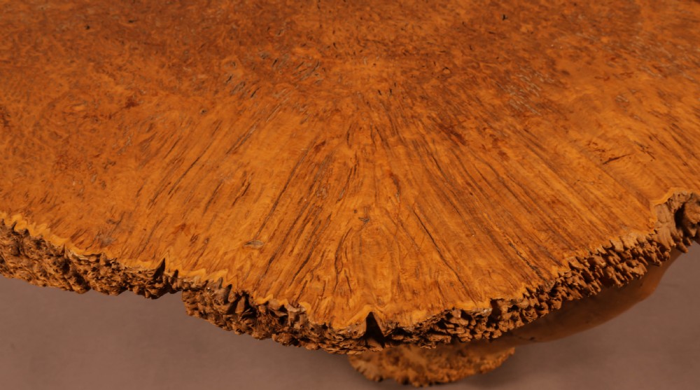 Very Unusual Coffee Table Amboyner Wood Tree Trunk View VII