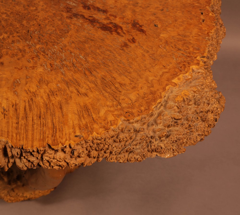 Very Unusual Coffee Table Amboyner Wood Tree Trunk View VIII