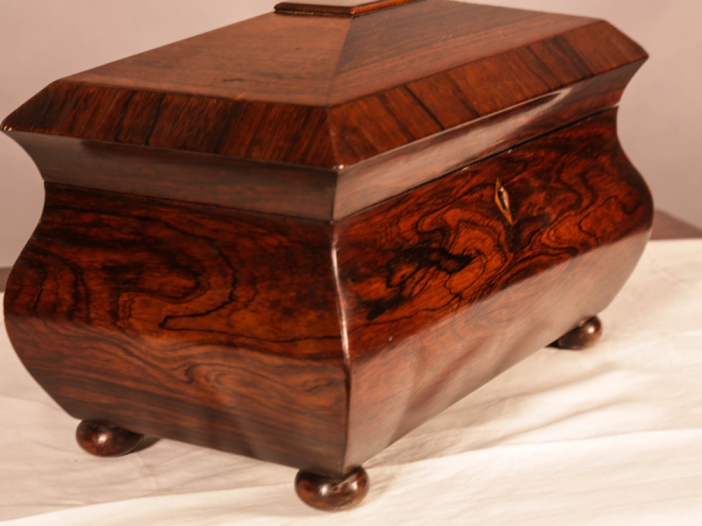 A William IV Tea Caddy in Rosewood View II