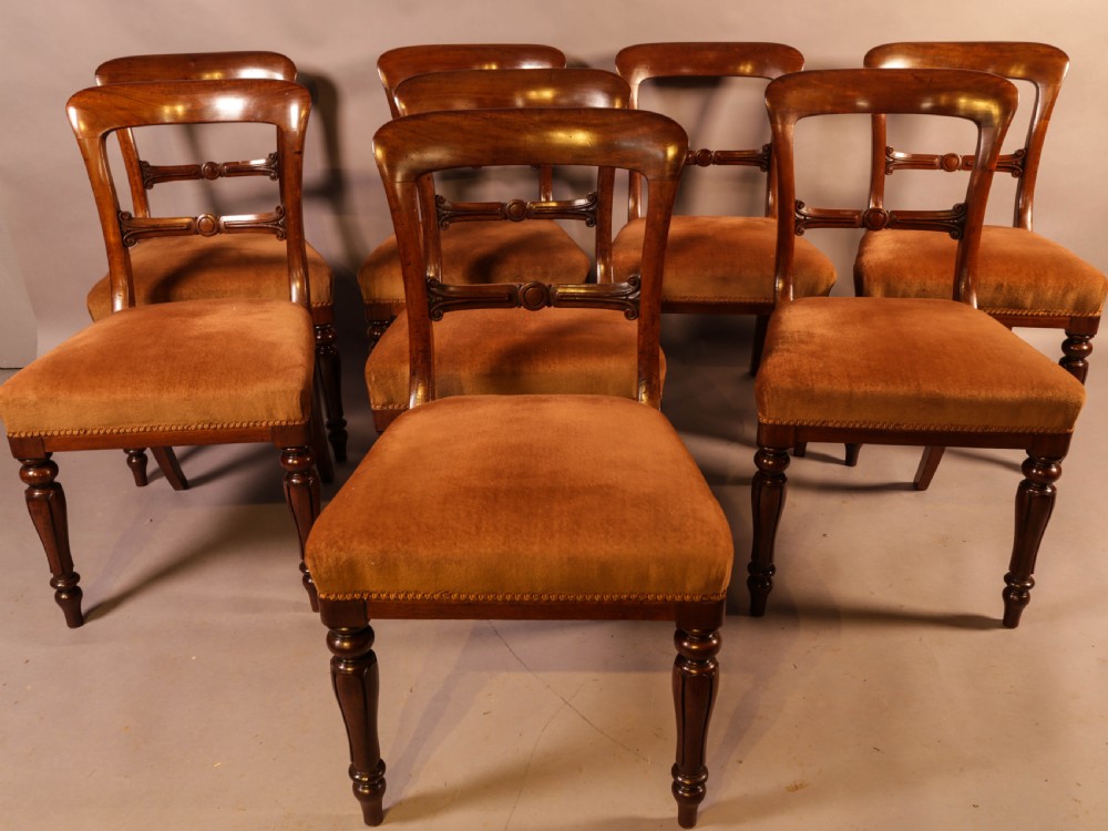 A Set of 8 William IV Dining Chairs  Mahogany View II