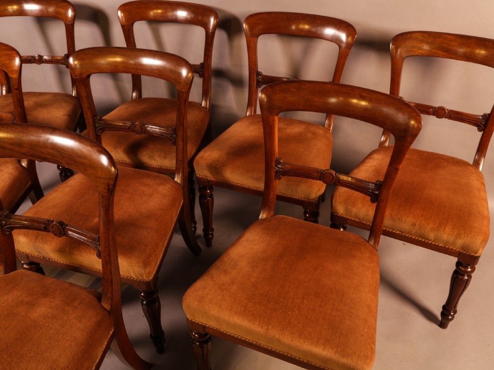 A Set of 8 William IV Dining Chairs  Mahogany View IV