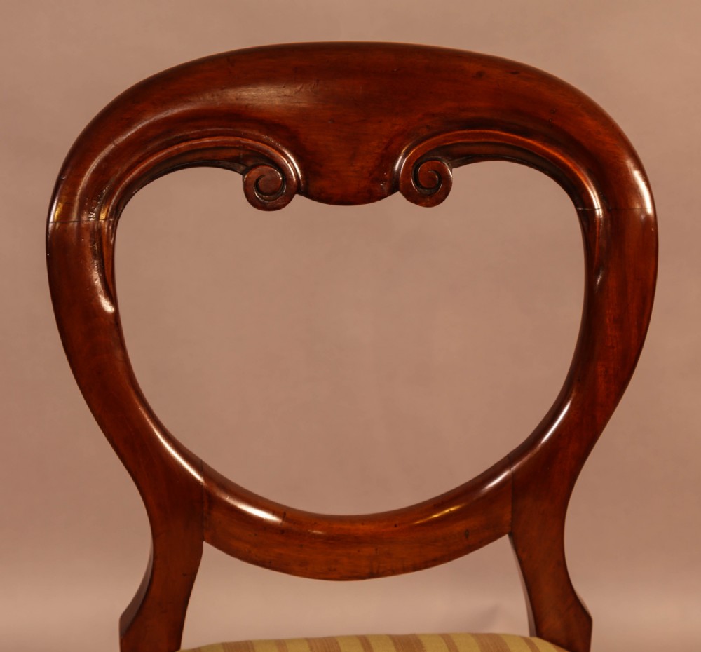 A Set of 12 Victorian Mahogany Balloon Back Dining Chairs View IX