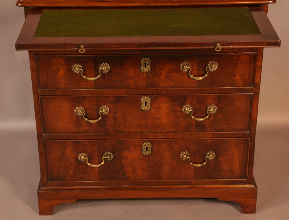 Rare English Walnut Small Chest of Drawers 2 ft 6 inch  View II