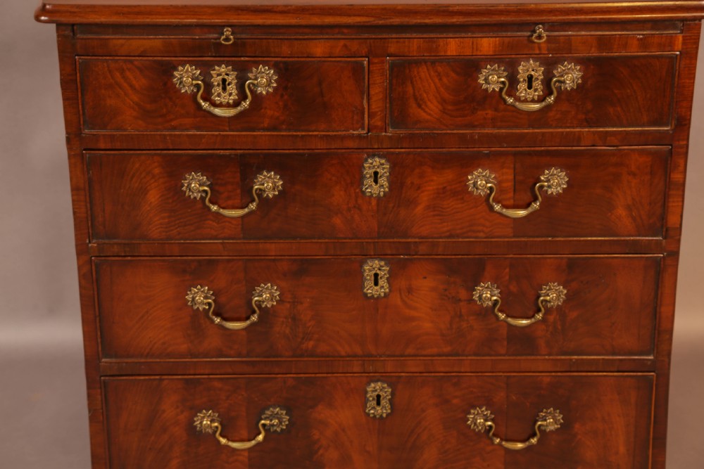 Rare English Walnut Small Chest of Drawers 2 ft 6 inch  View IV