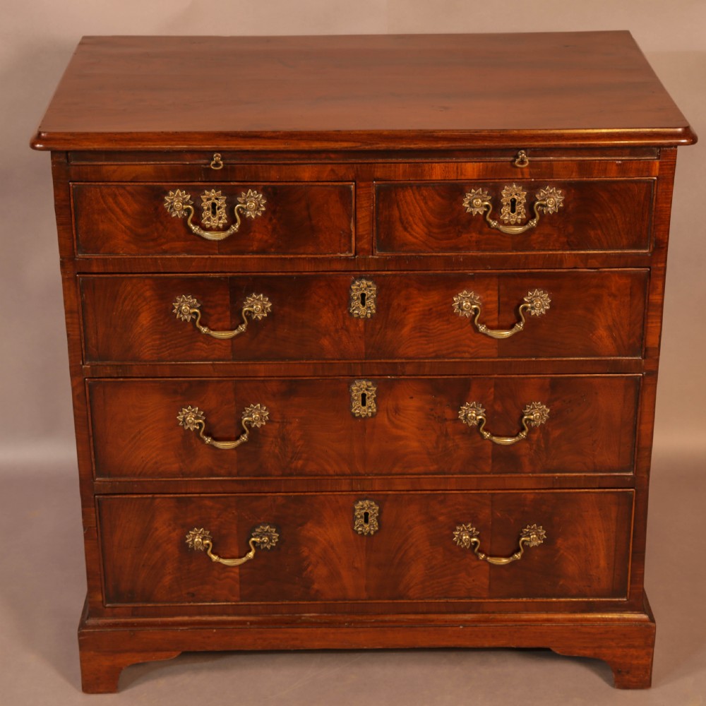 Rare English Walnut Small Chest of Drawers 2 ft 6 inch  View V