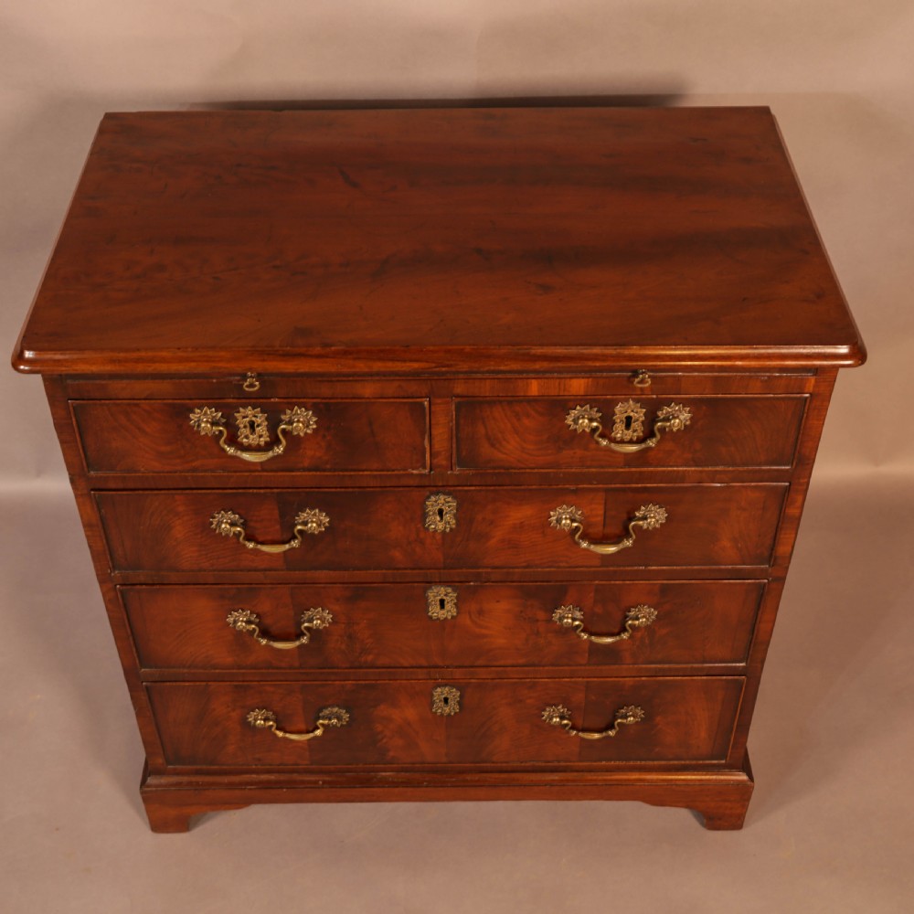 Rare English Walnut Small Chest of Drawers 2 ft 6 inch  View VI