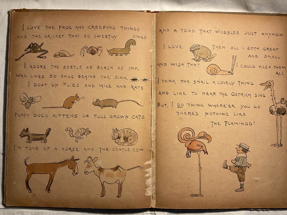 A children's storybook .   A Nobody's  Nonsense book  View V
