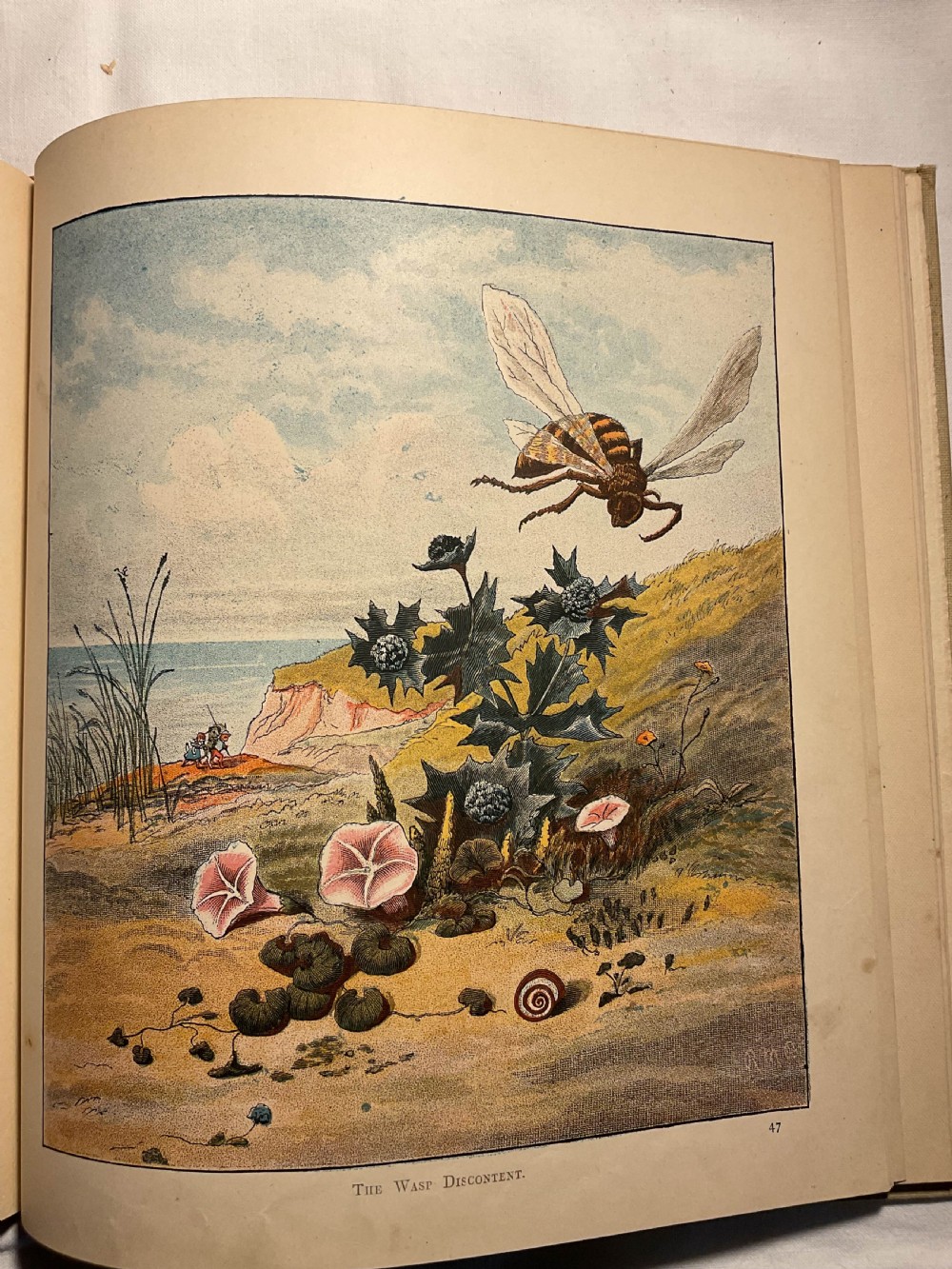 A VICTORIAN CHILDRENS STORY BOOK KITTENS PILGRIMS View V