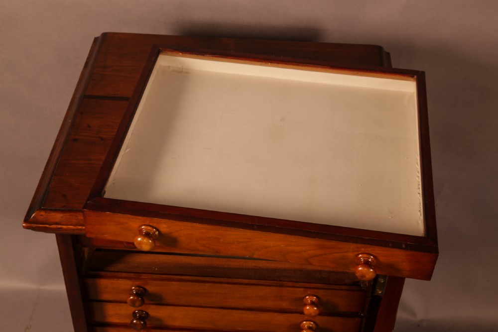 Victorian collectors Cabinet 12 drawers  View IV