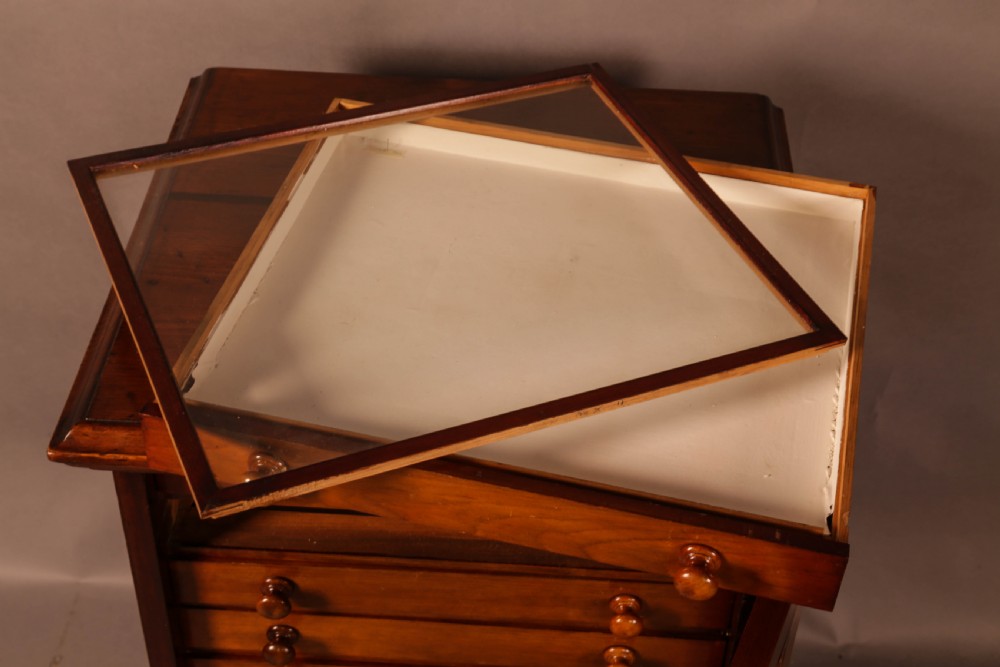 Victorian collectors Cabinet 12 drawers  View V