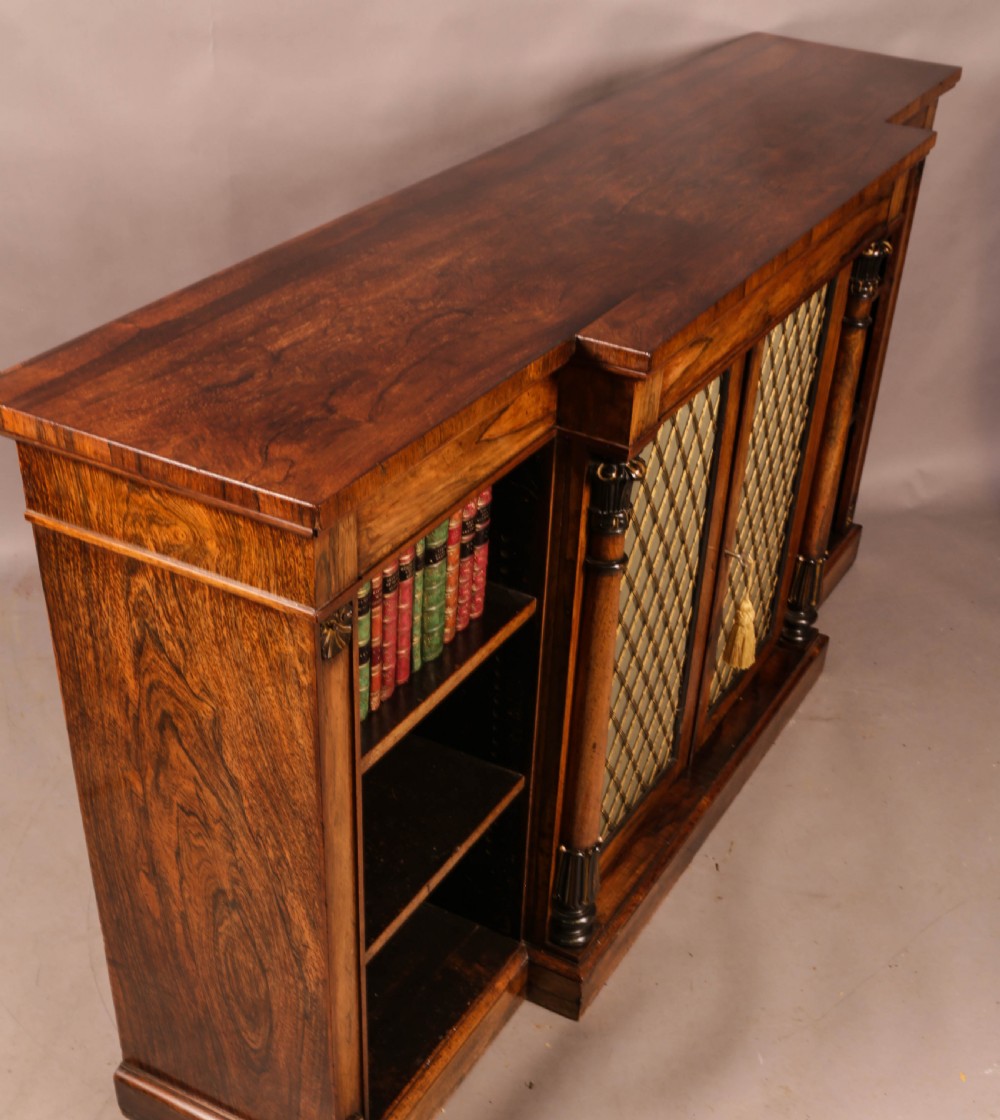 Regency period low Bookcase in Rosewood View III