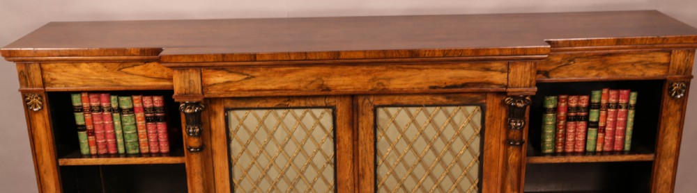 Regency period low Bookcase in Rosewood View VII