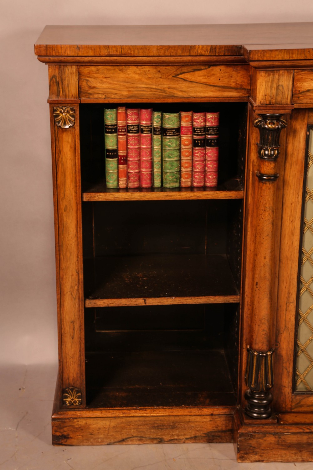 Regency period low Bookcase in Rosewood View VIII