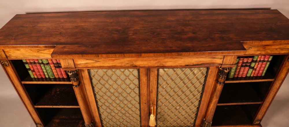 Regency period low Bookcase in Rosewood View XII