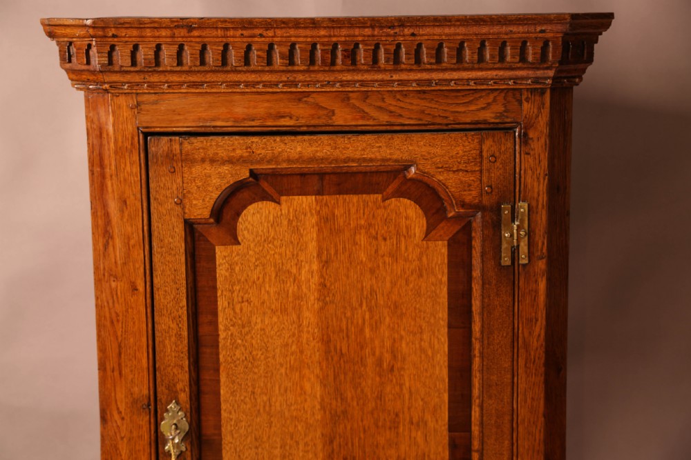 An 18th century Oak Corner Cupboard View III