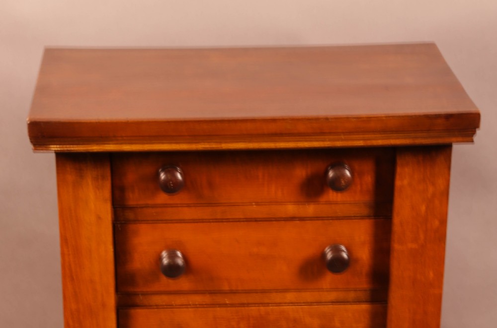 A Victorian Mahogany Wellington Chest View IV