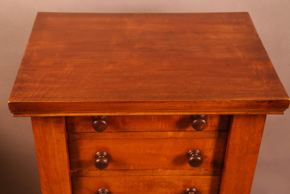 A Victorian Mahogany Wellington Chest View VII