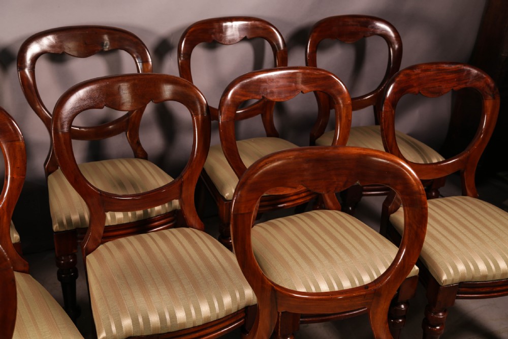 A Set of 12 victorian Mahogany Balloon Back Dining Chairs View III