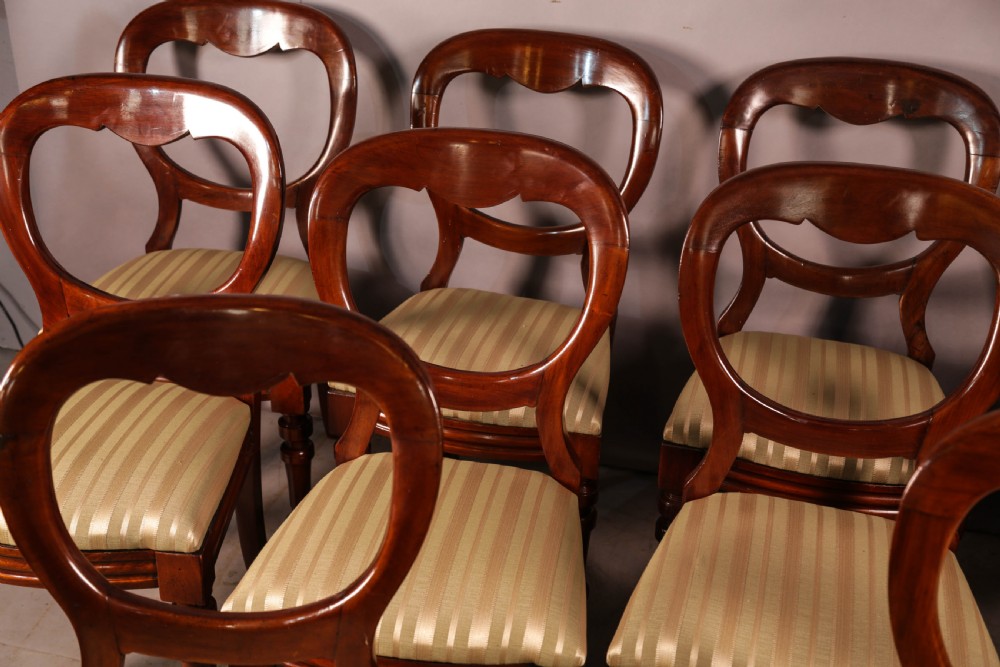 A Set of 12 victorian Mahogany Balloon Back Dining Chairs View V