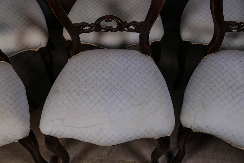 A set of six dark mahogany Victorian dining chairs featuring rounded balloon backrests with carved mid-rails and light-coloured patterned upholstered seats. View V