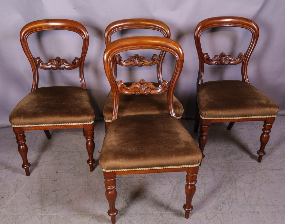 Set of four Victorian mahogany balloon back dining chairs featuring carved horizontal mid-rails, turned front legs, and brown velvet upholstered seats.