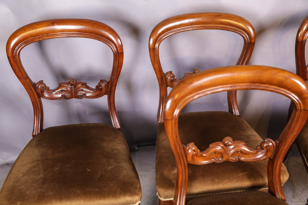 Set of four Victorian mahogany balloon back dining chairs featuring carved horizontal mid-rails, turned front legs, and brown velvet upholstered seats. View II
