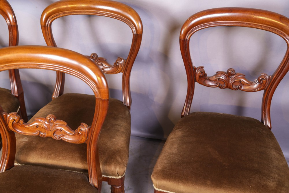 Set of four Victorian mahogany balloon back dining chairs featuring carved horizontal mid-rails, turned front legs, and brown velvet upholstered seats. View III