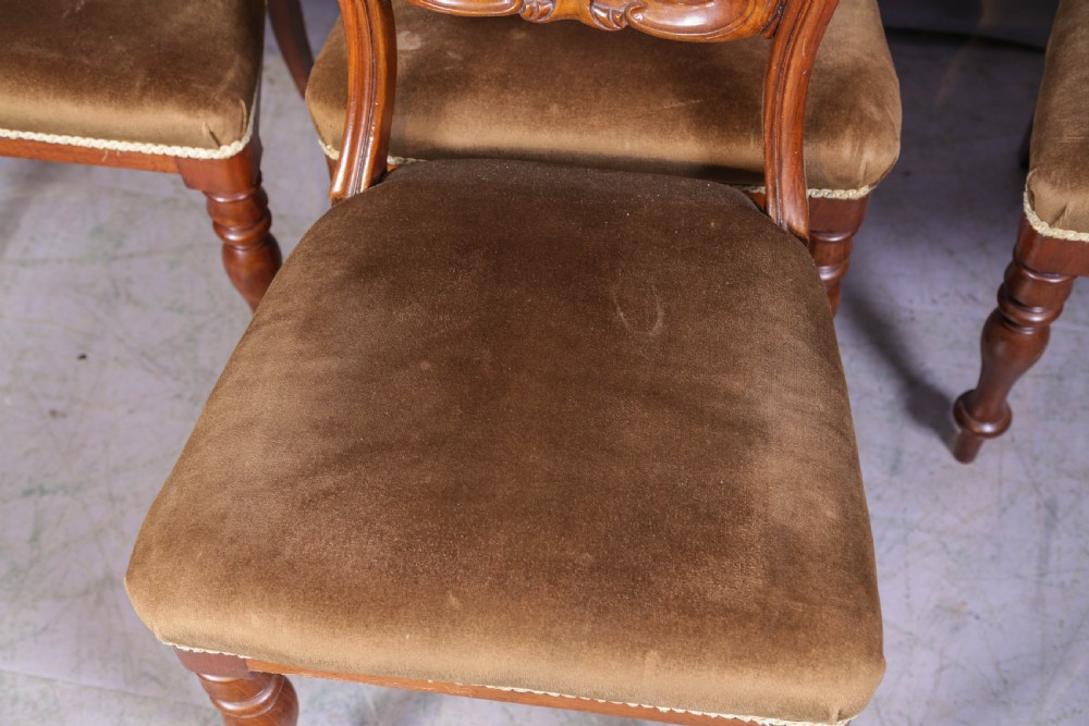 Set of four Victorian mahogany balloon back dining chairs featuring carved horizontal mid-rails, turned front legs, and brown velvet upholstered seats. View IV