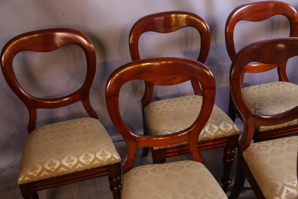Set of eight Victorian mahogany dining chairs featuring rounded balloon backs, turned front legs, and patterned light-coloured upholstered seats. View IV